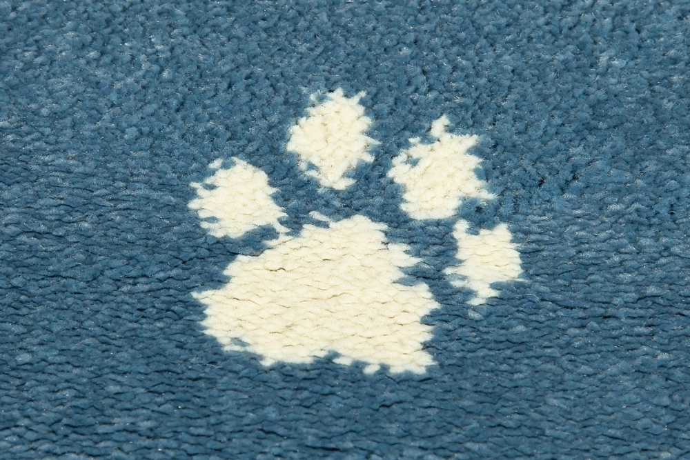 Soft Agnella Kotek azure
